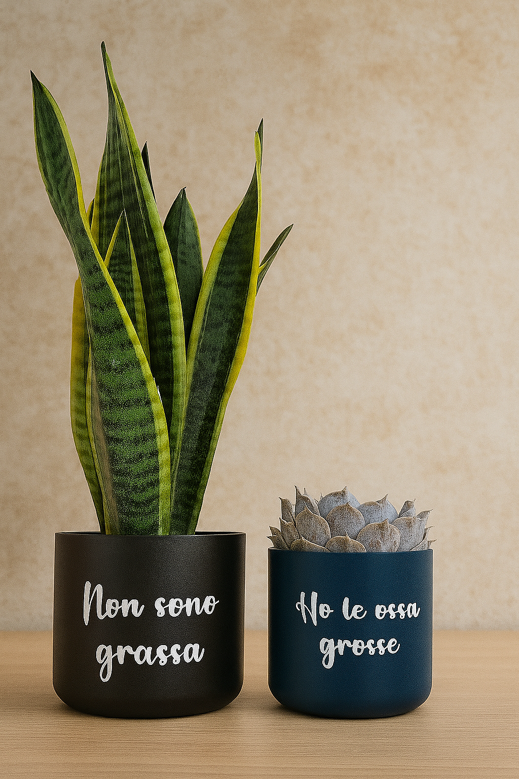 Coppia di vasi in ceramica con scritta ironica – Personalizzabili e vendibili anche singolarmente