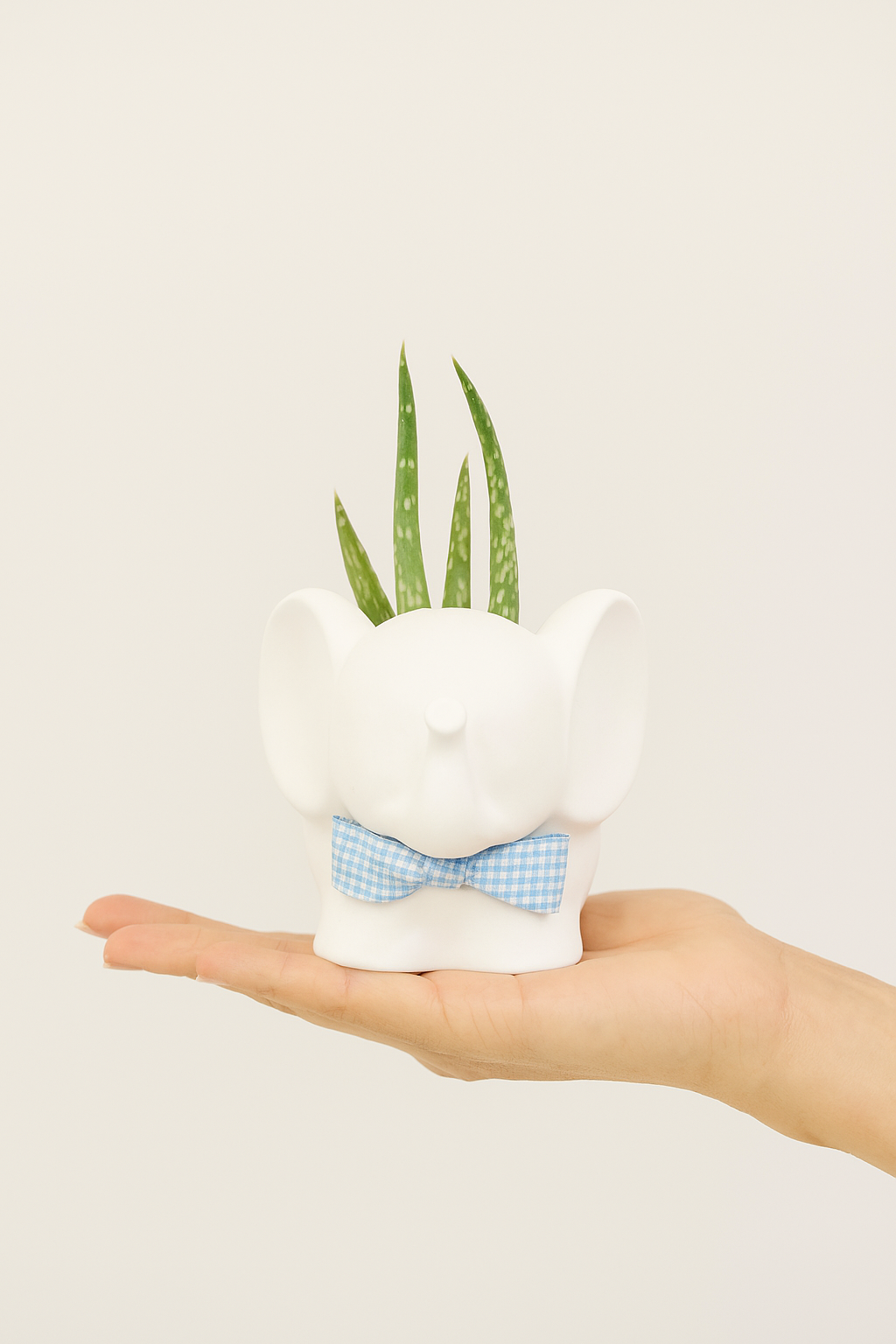 Vaso elefantino handmade in gesso personalizzabile