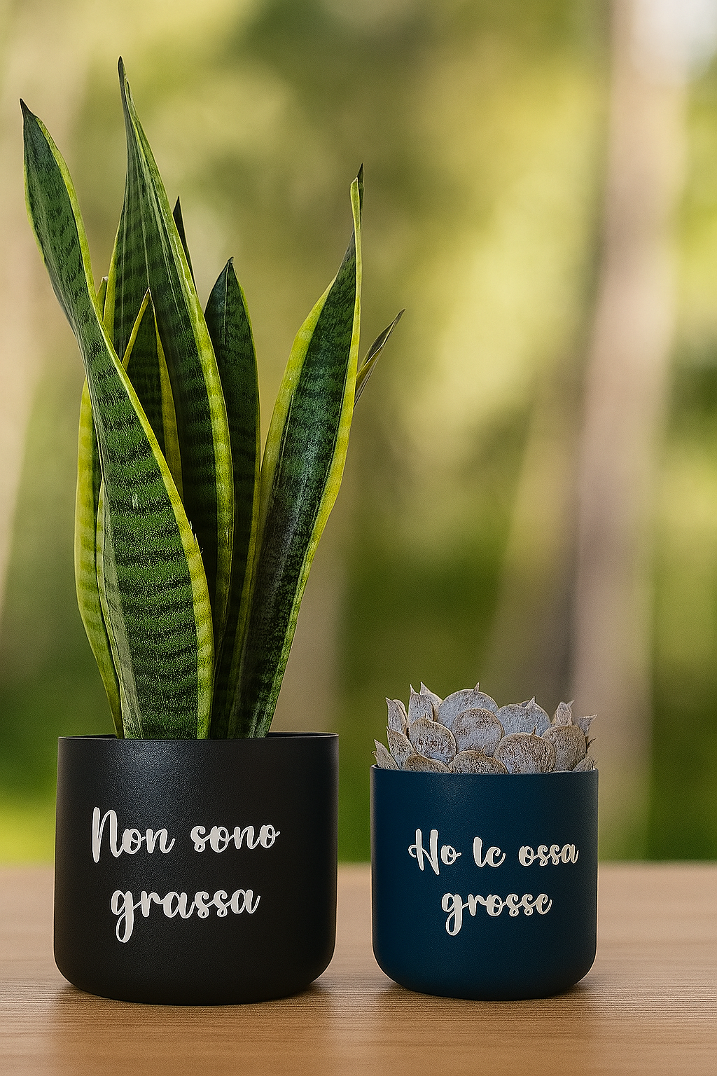 Coppia di vasi in ceramica con scritta ironica – Personalizzabili e vendibili anche singolarmente