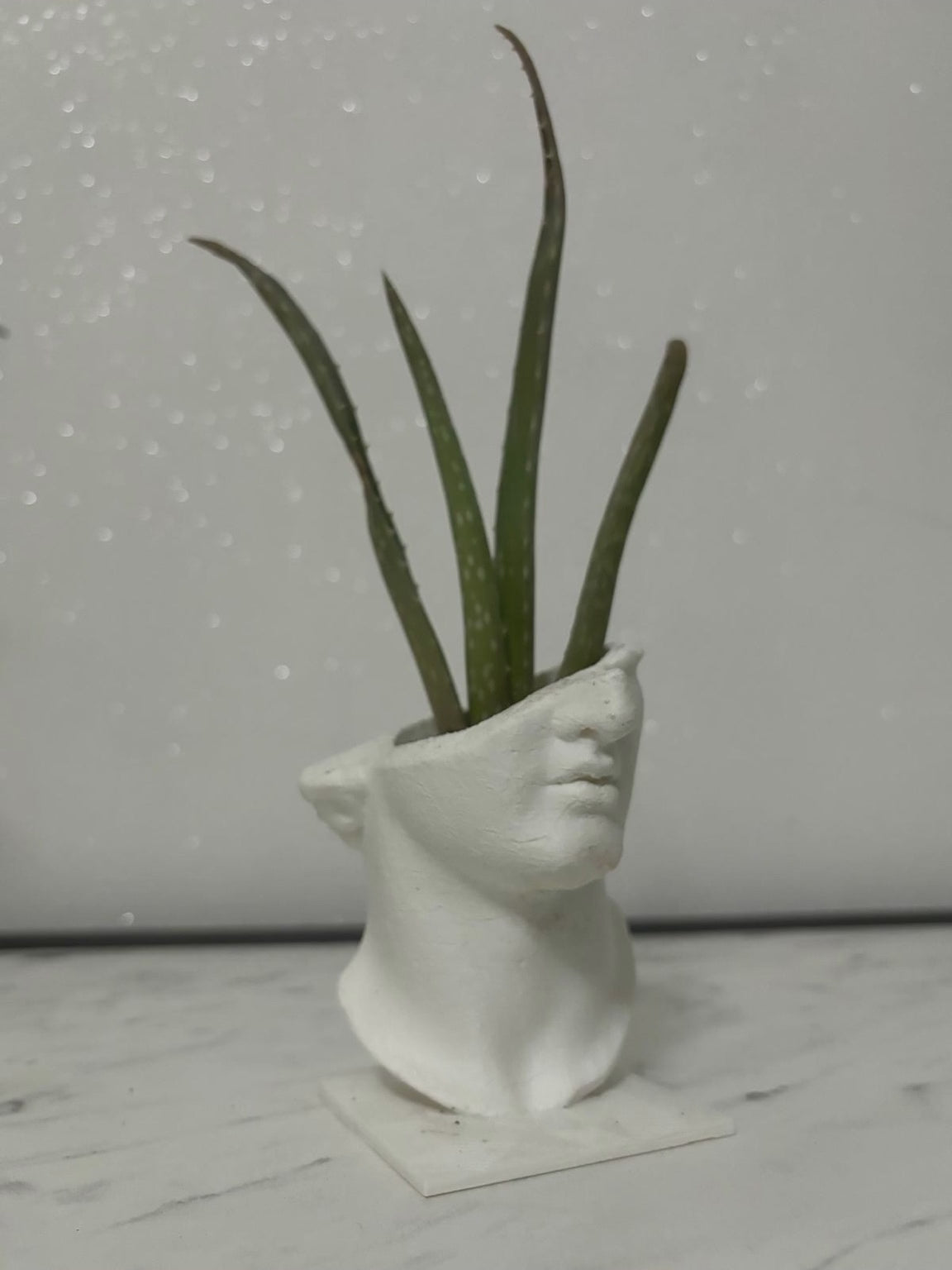 Vaso decorativo busto scultoreo in PLA ecologico – Stampato in 3D, personalizzabile e disponibile in diversi colori